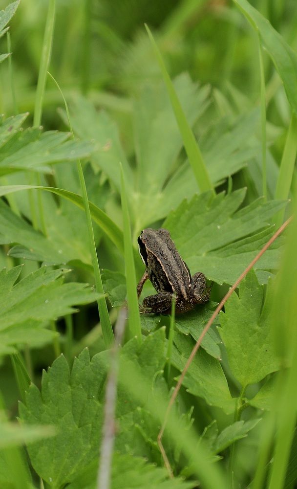 Photograph by Вася Кадочников