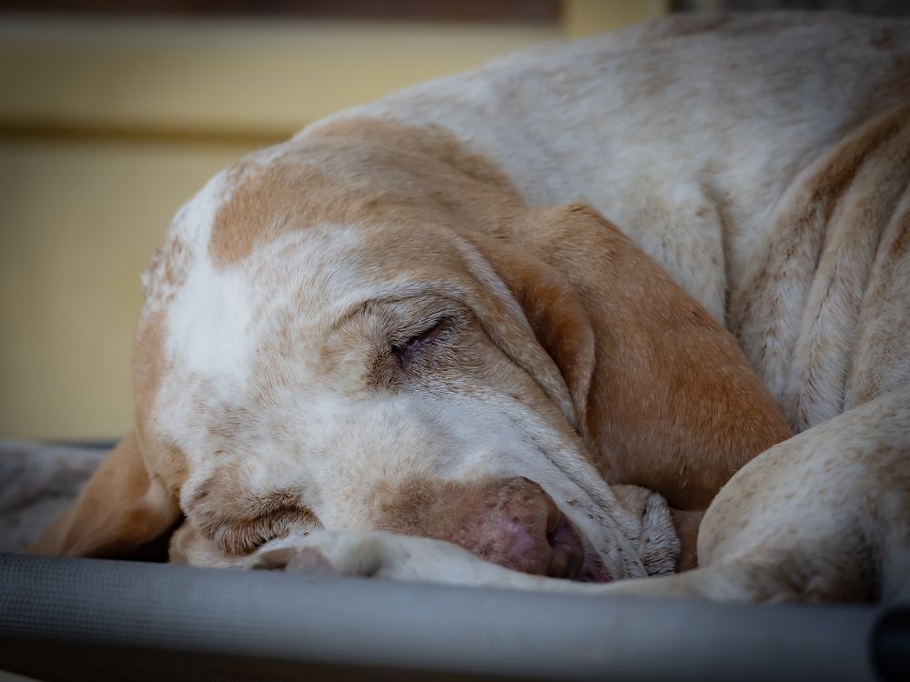 Photograph by Andrea Barlotti