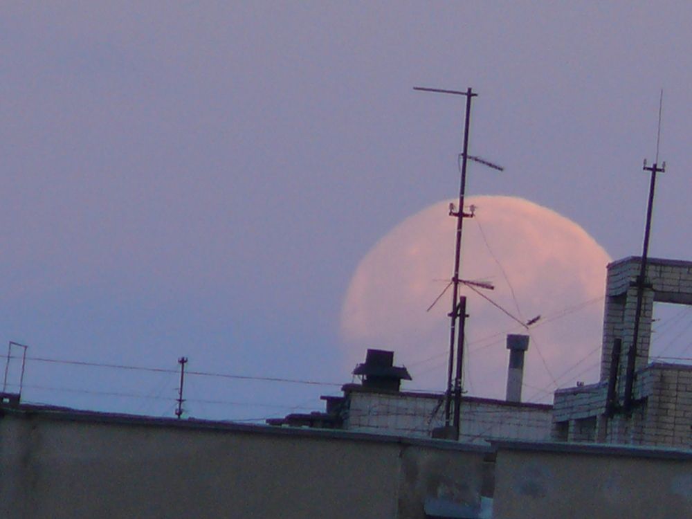 Фотография автора Клавдия Васильева