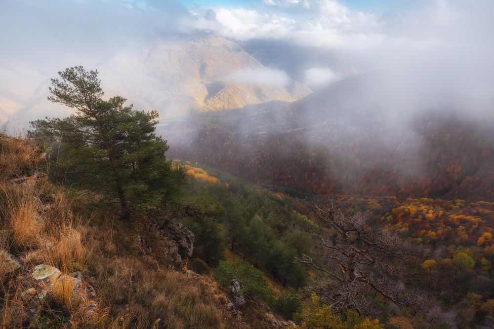 Photograph by Кахарова Наргиза