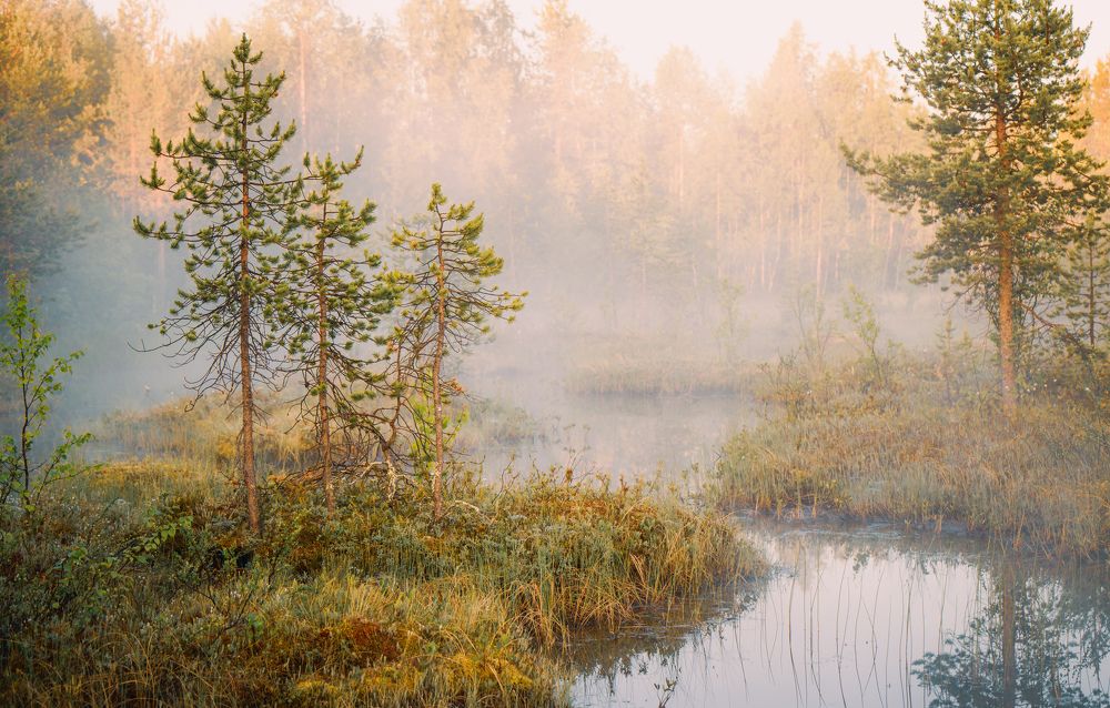 Утро на севере