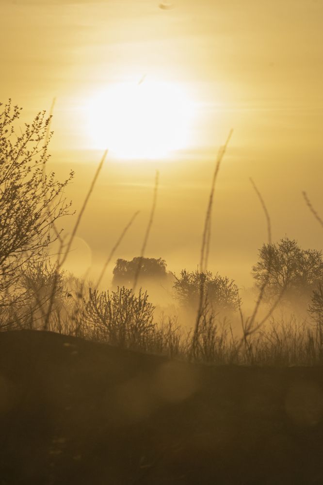 Photograph by Артем Шумов