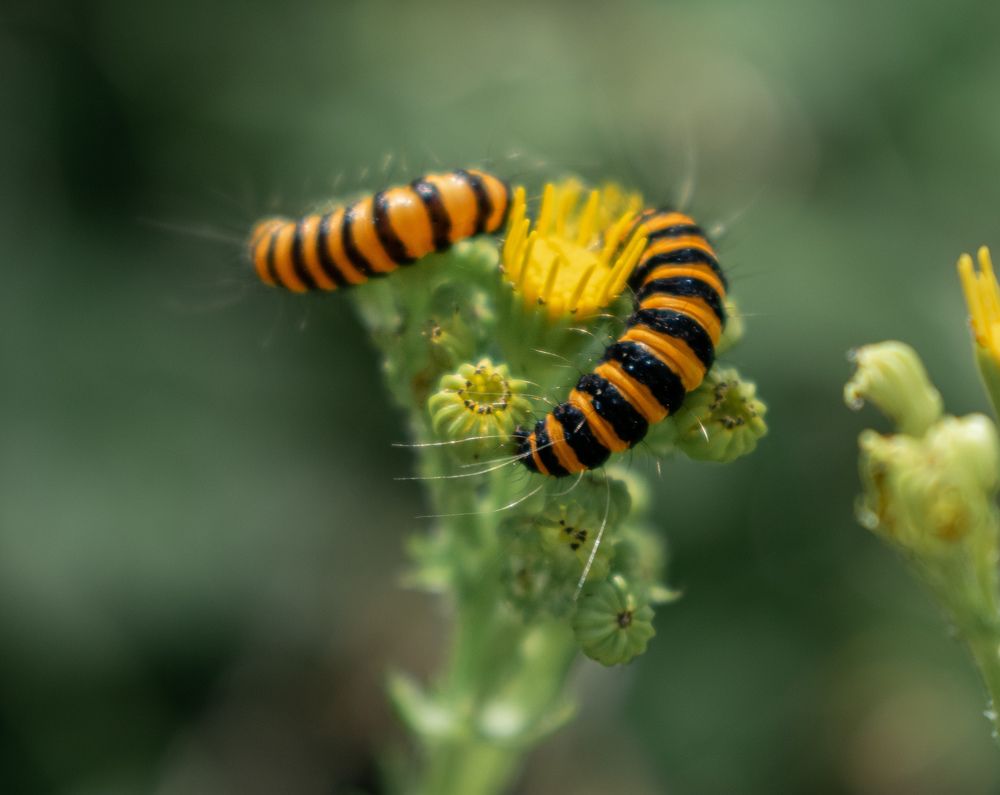 Photograph by Vitalii Kaznin