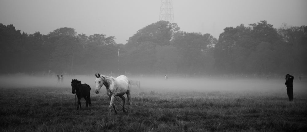 Photograph by Dhritiman Mandal