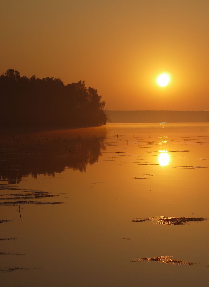 Photograph by Баженова Наталья