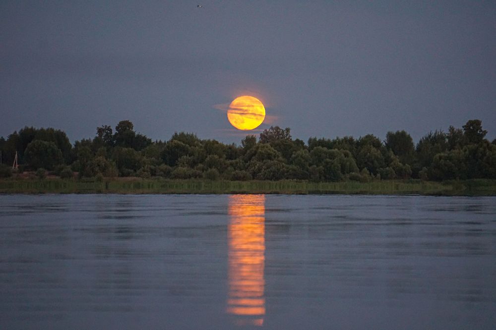 Photograph by Алфия Бугакова