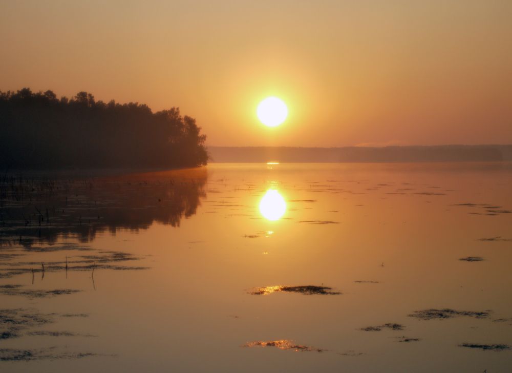 Photograph by Баженова Наталья