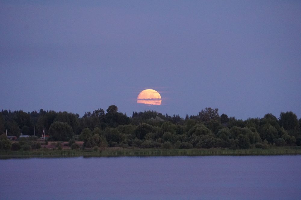 Photograph by Алфия Бугакова