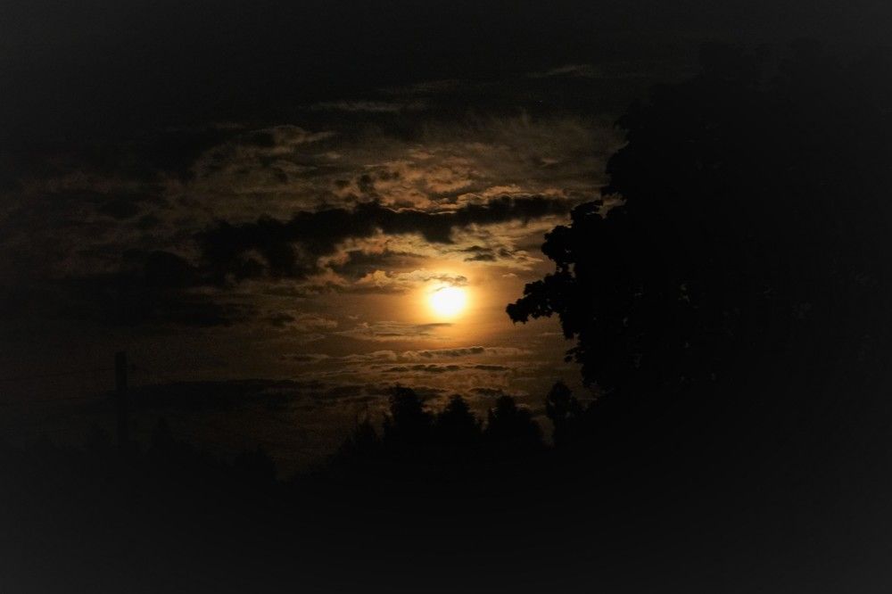 Photograph by Алфия Бугакова