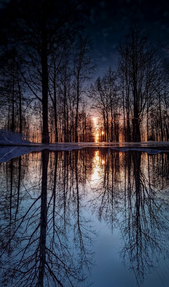 Photograph by Светлана Перминова