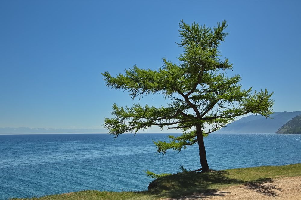 Photograph by Олег Раков