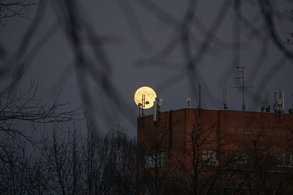 Photograph by Алфия Бугакова