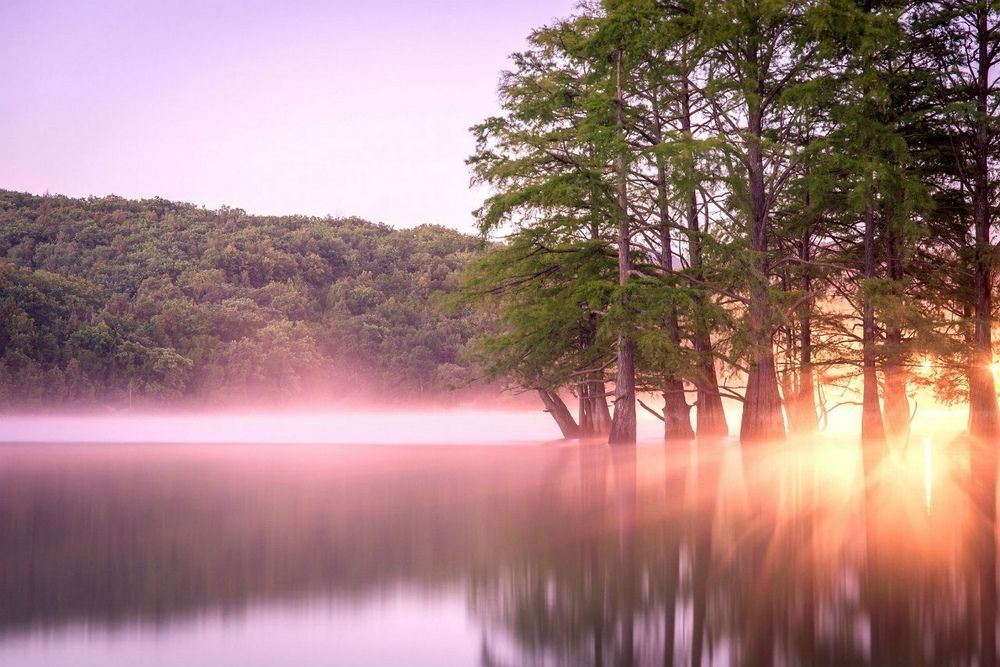 Photograph by Алексей Яковлев