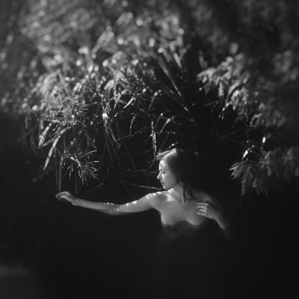 Photograph by Евгений Бузук