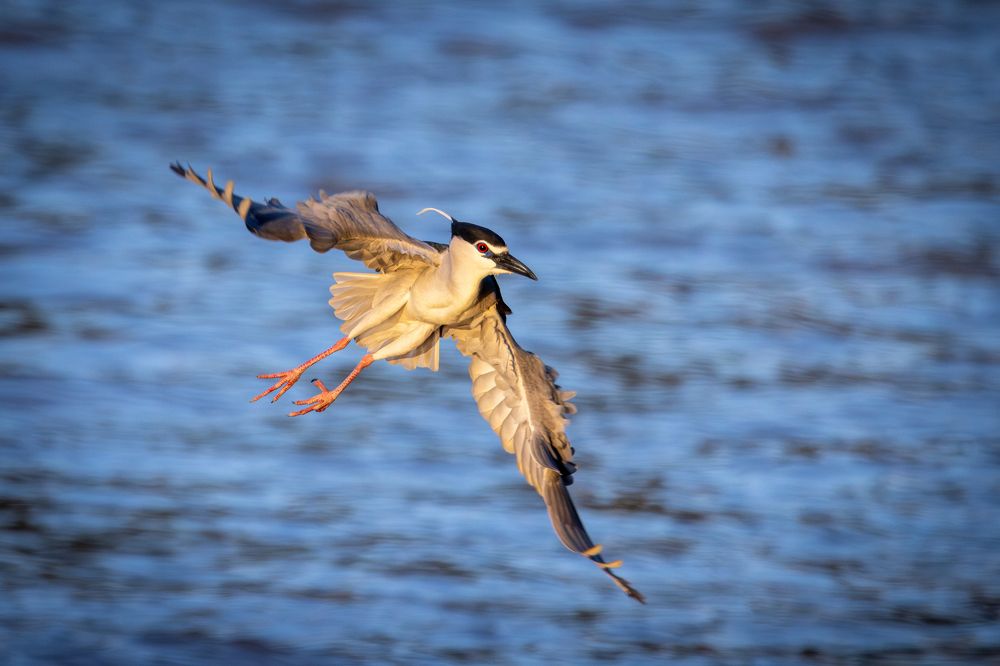 Photograph by Gevork Gukasyan