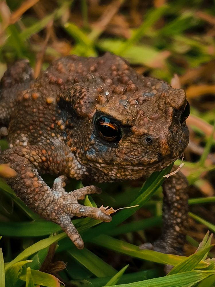 Photograph by Ольга Власова