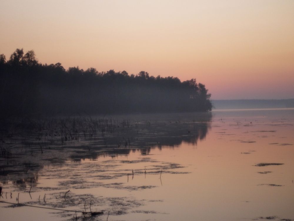 Photograph by Баженова Наталья