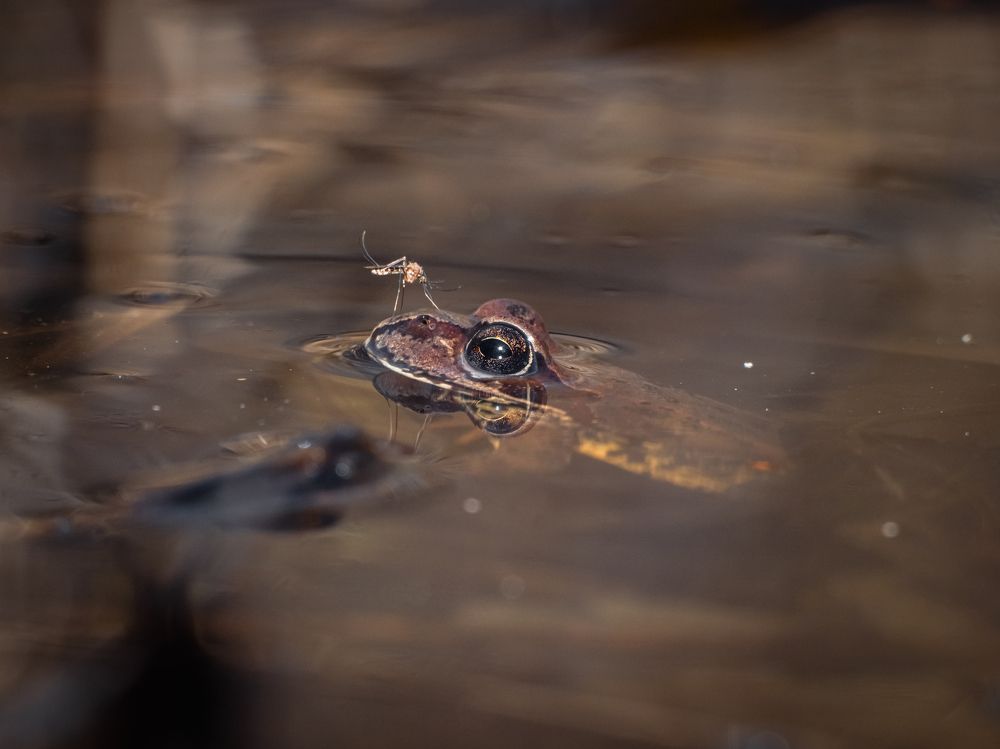 Photograph by Александр Раханский