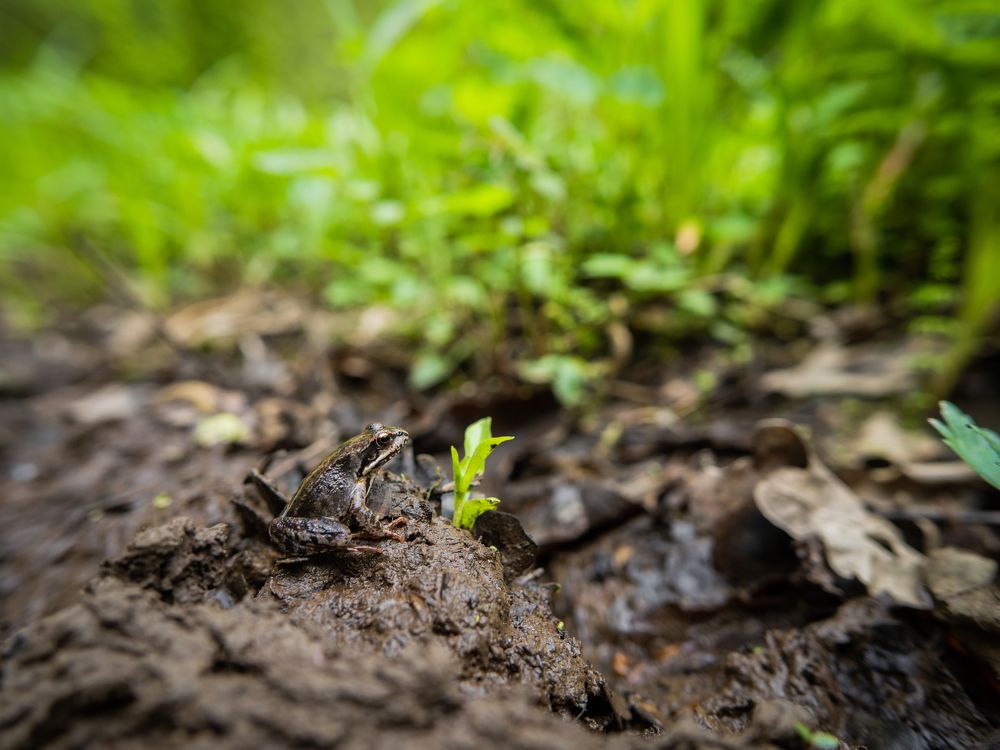 Photograph by Александр Раханский