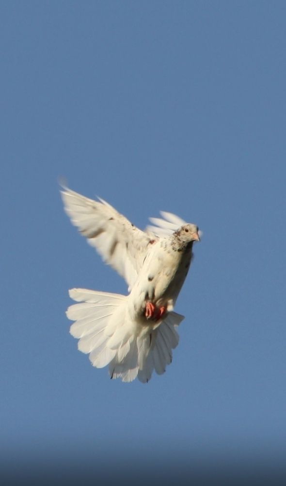 Photograph by Ирина