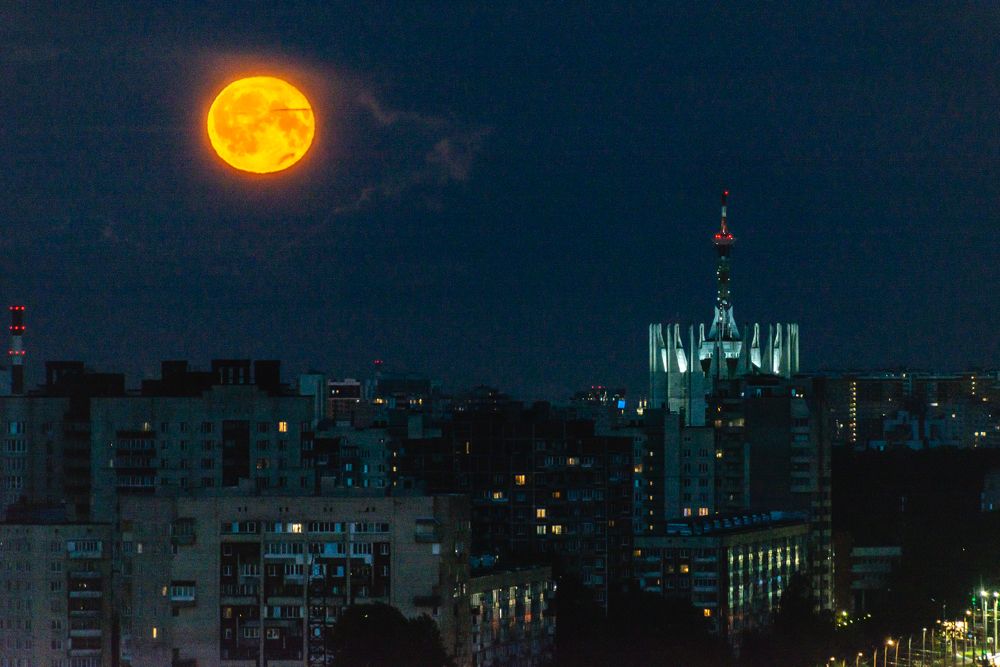 Photograph by Юлия Боровкова