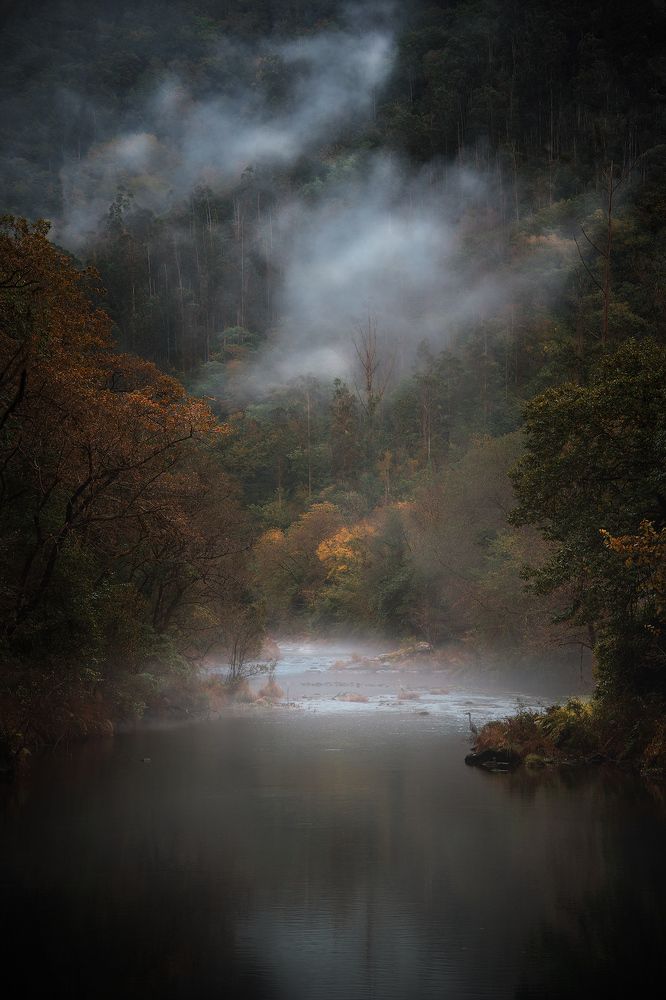 Photograph by SORAYA SAMPEDRO