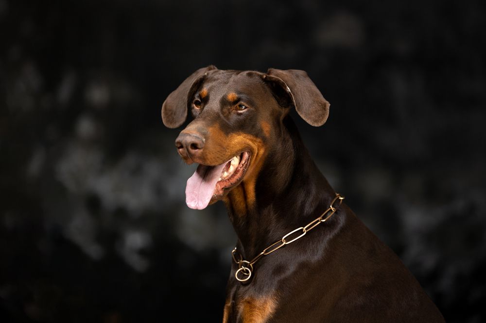 Фотография автора Евгения Глинская