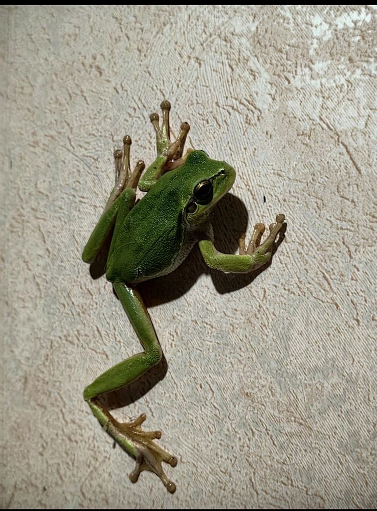 Photograph by Ирина