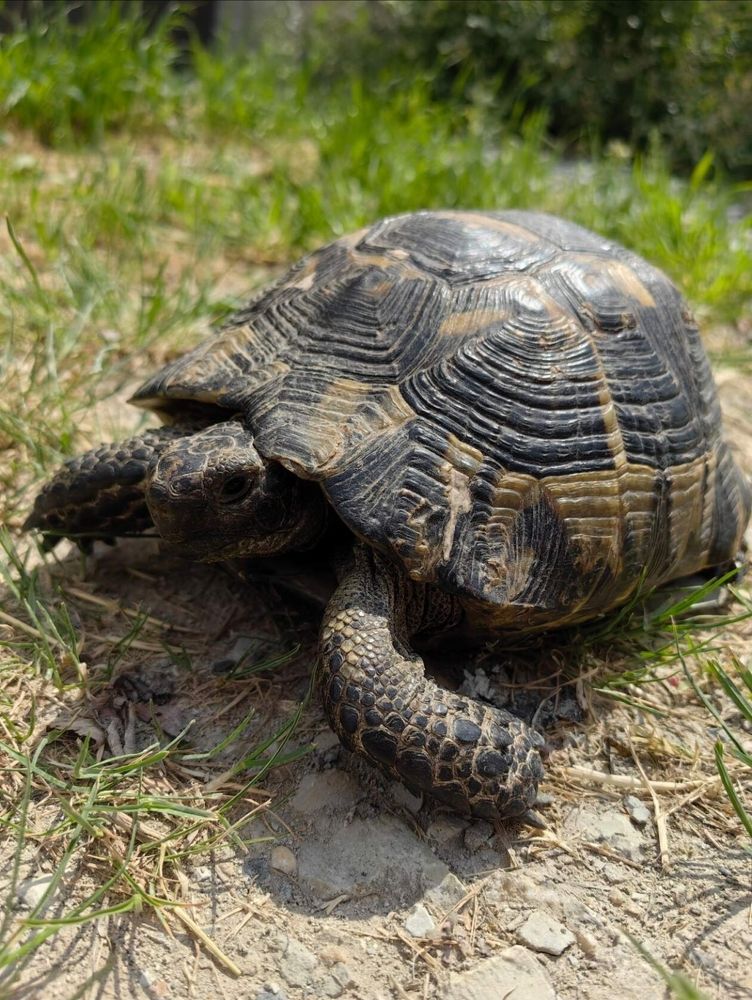 Photograph by Ирина