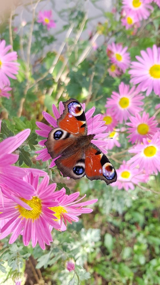 Фотография автора Дана Богинская