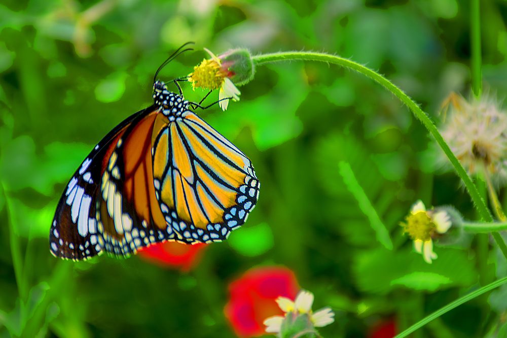 Photograph by Vy Van Bui