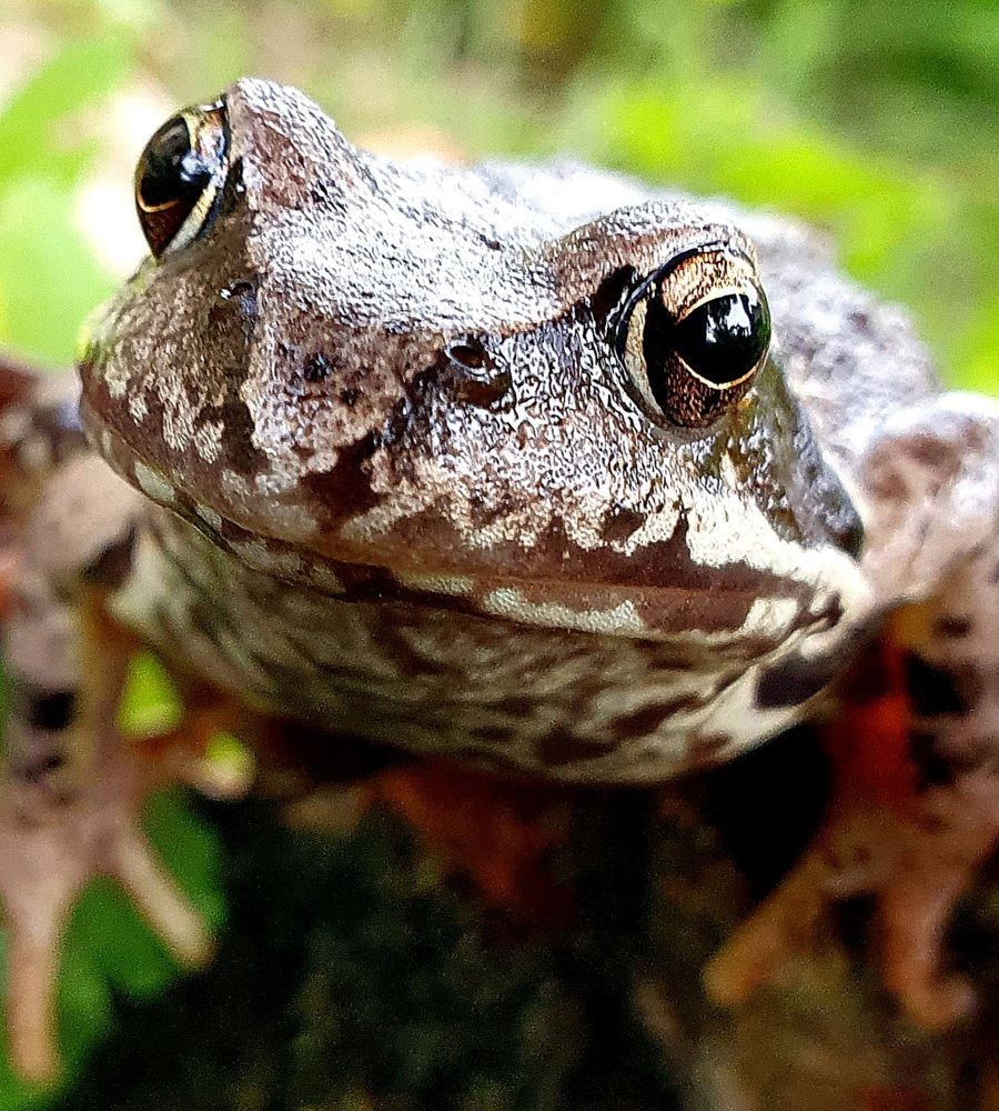 Photograph by Ева К