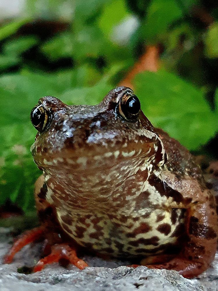 Photograph by Яна Галимуллина