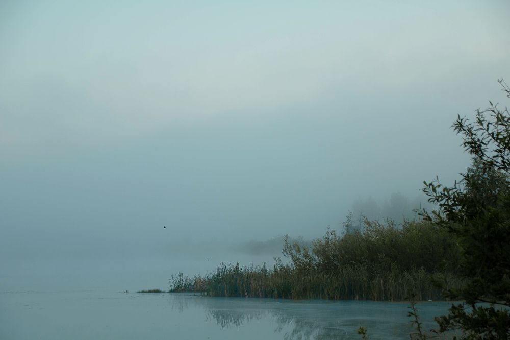 Фотография автора Александр Крапачев