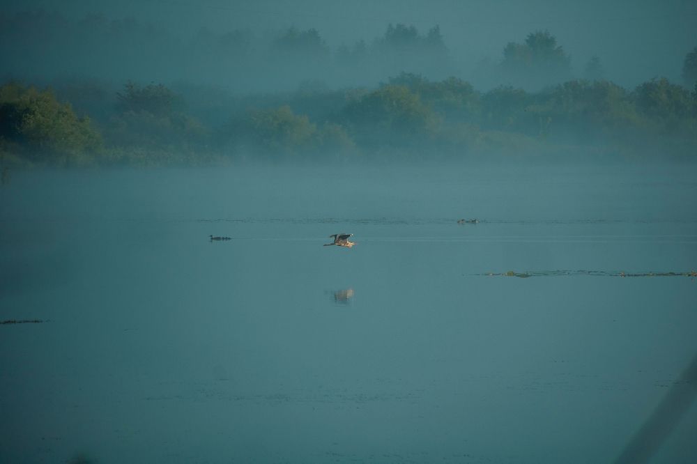 Фотография автора Александр Крапачев