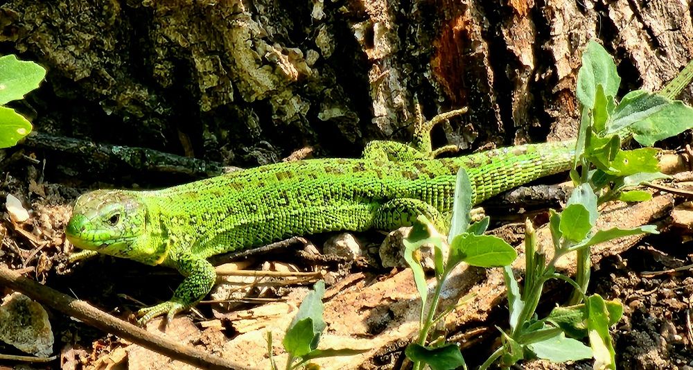 Photograph by Александр Царев