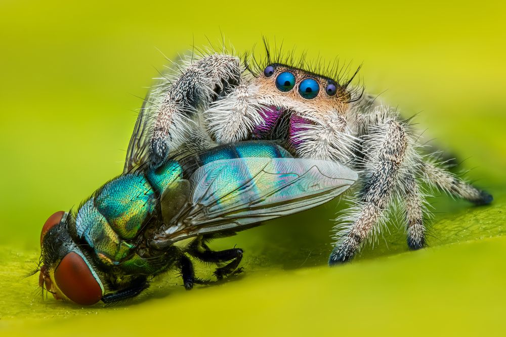 Photograph by Tran The Ngoc