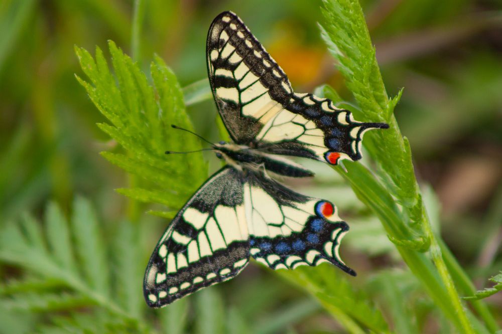 Photograph by Владислав Капанов
