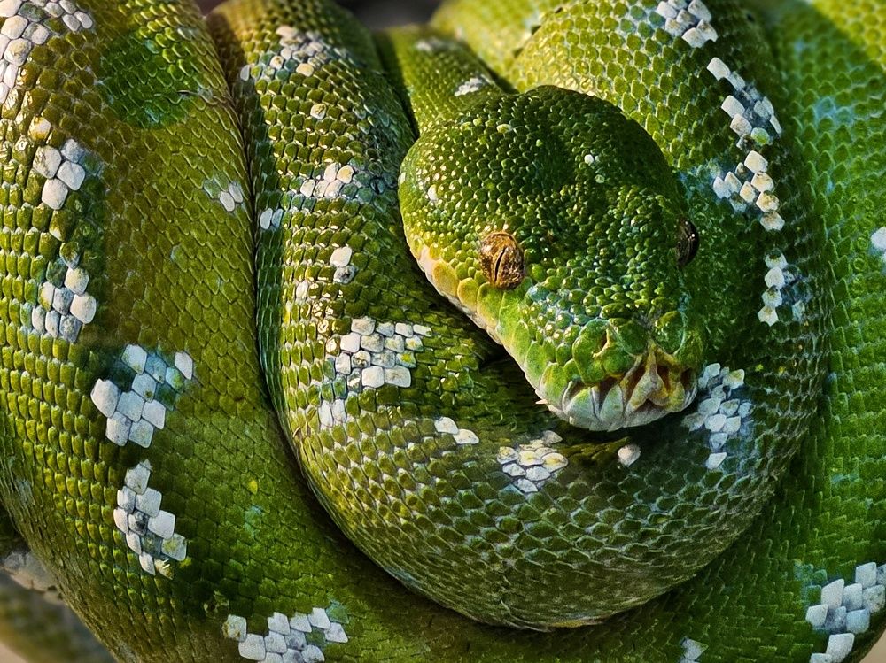 Photograph by Ирина Лучинская