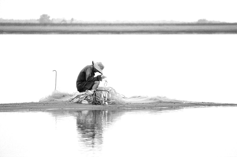 Gỡ lưới