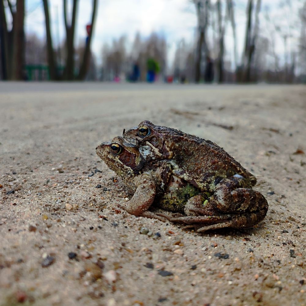 Photograph by DARIA DEMINA