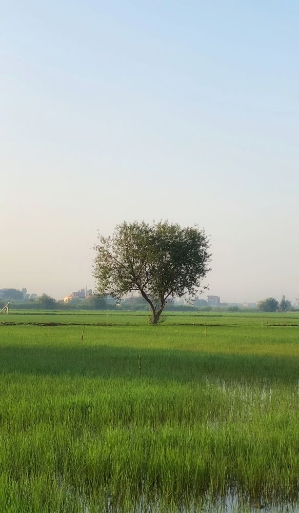 Photograph by Asmaa Mohammad Ahmed