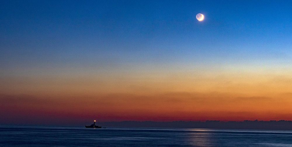 Photograph by Alex Kalpus