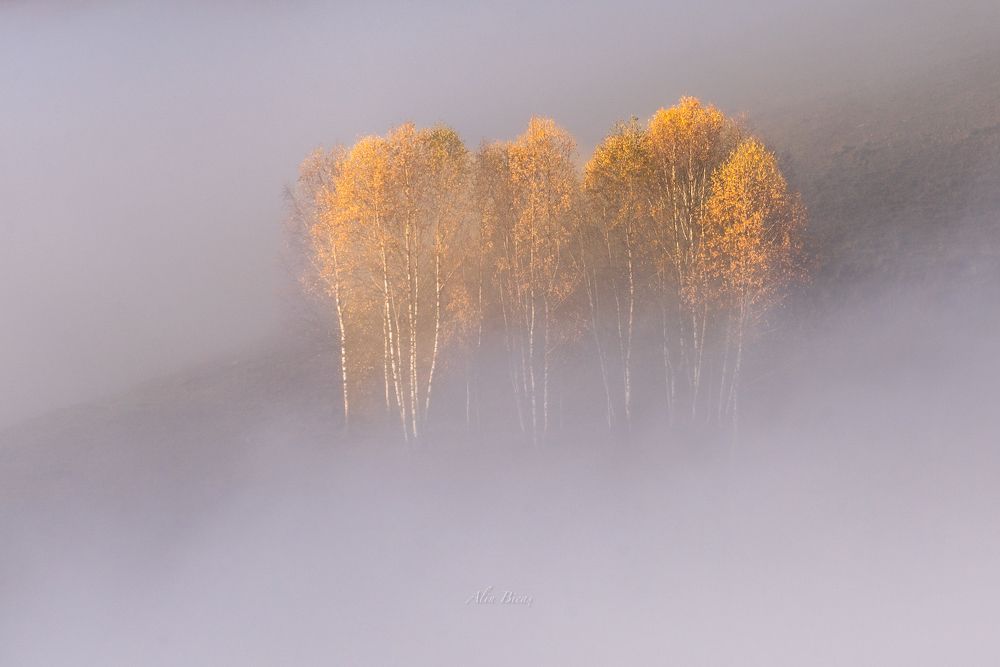 Photograph by Alin Bicas