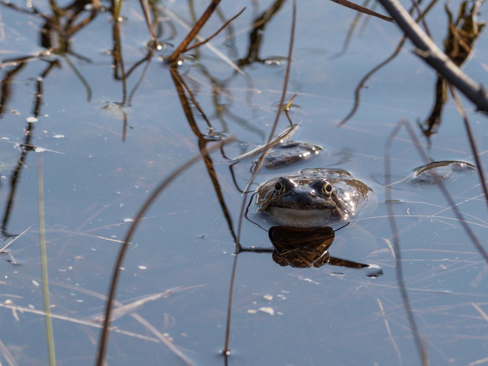 Photograph by Шейко Анна