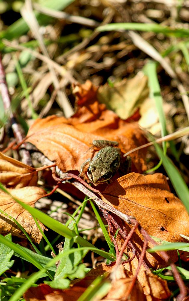 Photograph by Вася Кадочников
