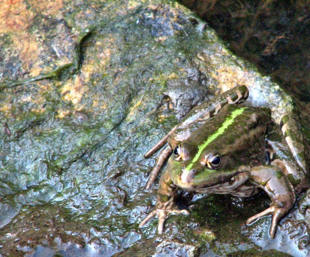 Photograph by Михаил Семёнов