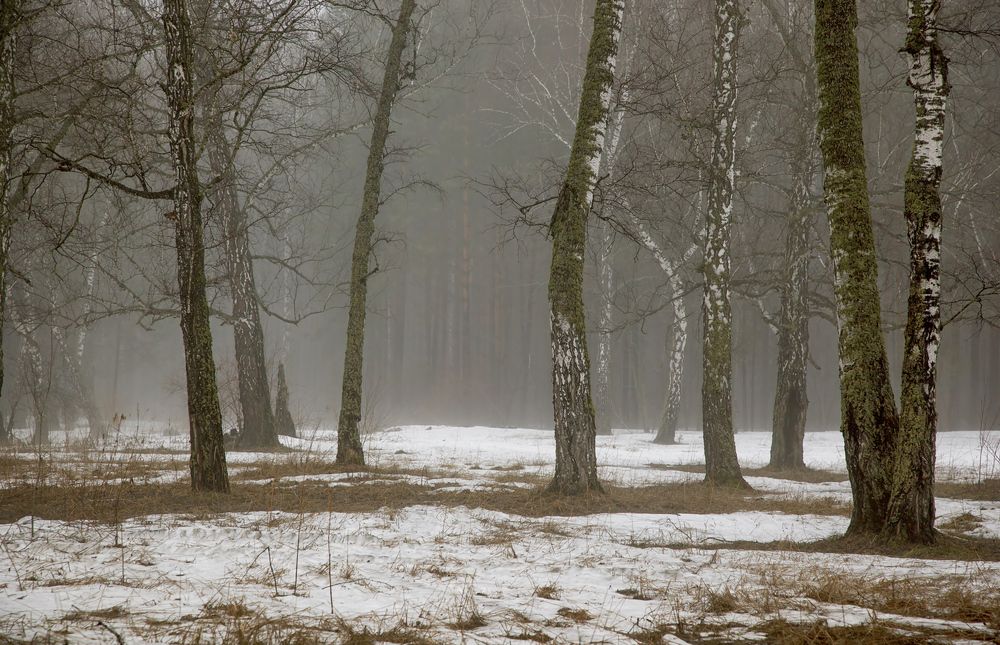 Photograph by Алексей Хахлов