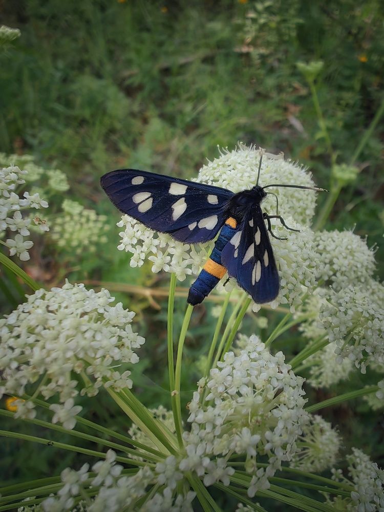 Photograph by Денис Сухов