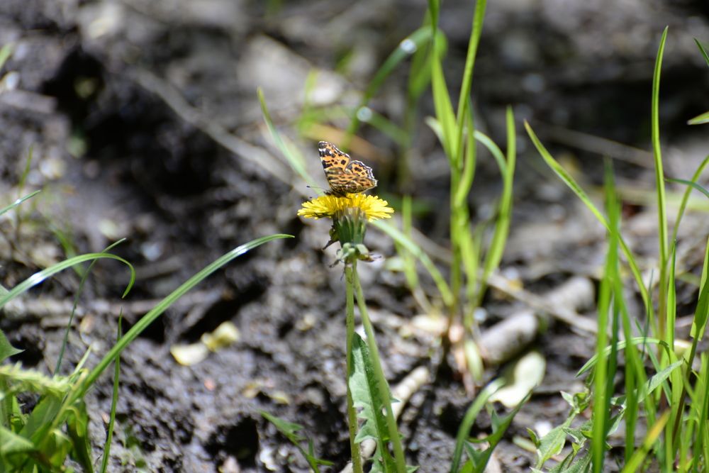 Фотография автора Ольга Круковская